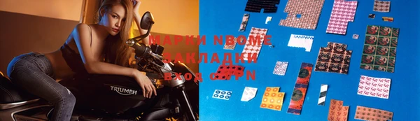 бошки Бронницы