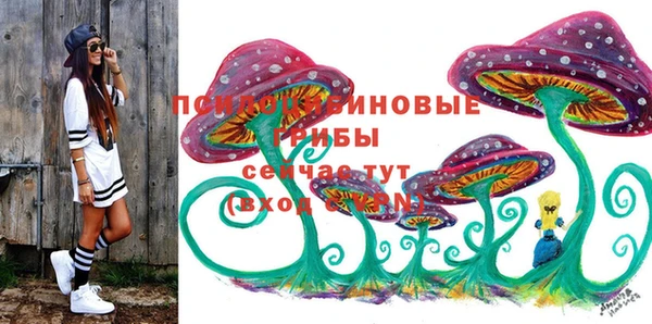 бошки Бронницы