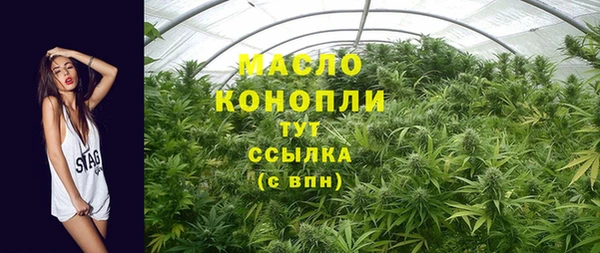 МДПВ Бородино