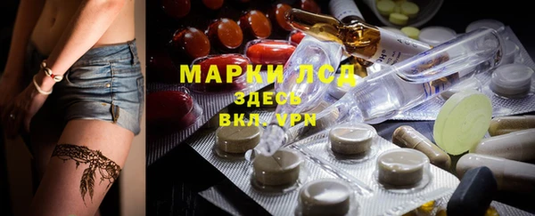 МДПВ Бородино